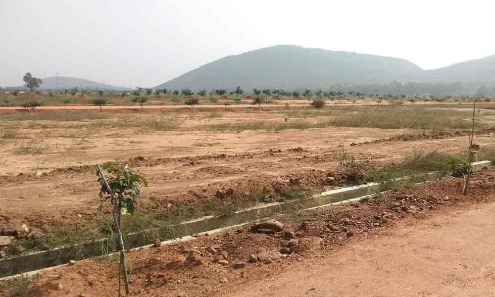 Unauthorised layouts mushroom in Rajam