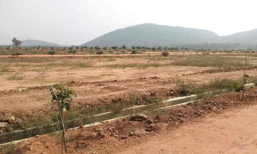 Unauthorised layouts mushroom in Rajam