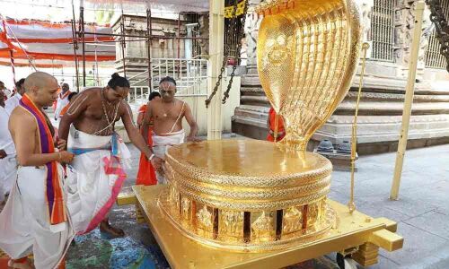 Vahanams worth 50 lakh donated to Kalyana Venkateswara temple
