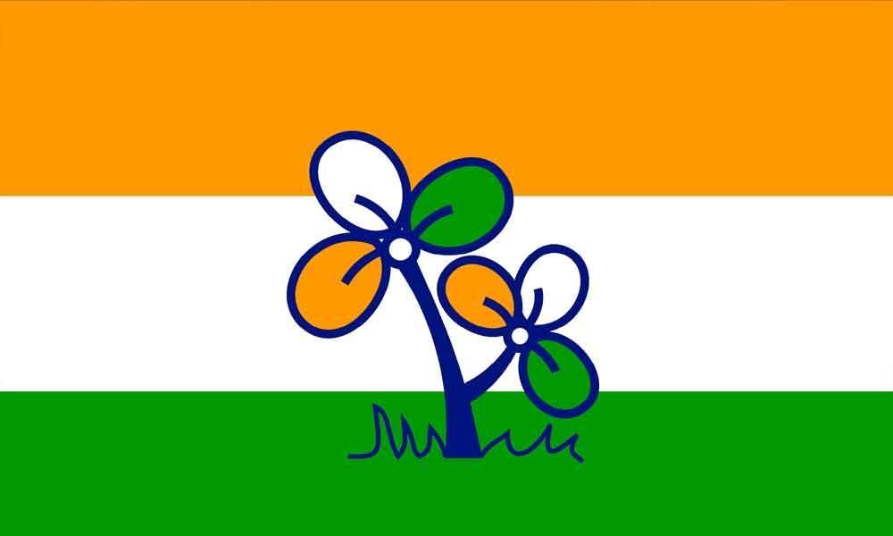 Trinamool says BJP disrupting law, order in Bengal