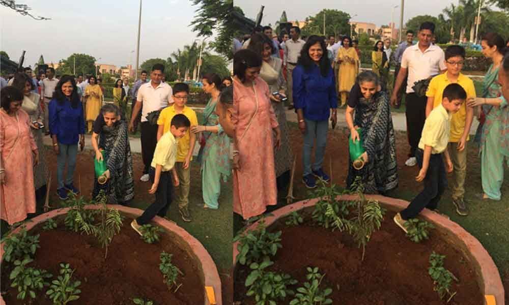 Eco warriors hold tree plantation event