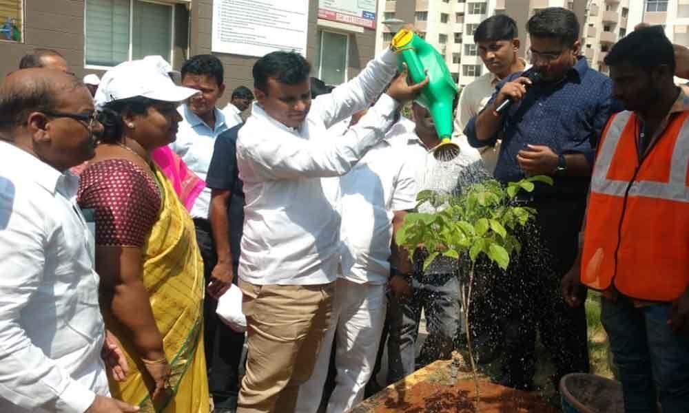 Call to plant trees to get rid of pollution