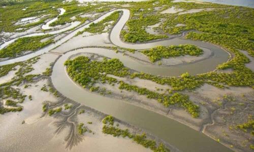 The fallacies of river interlinking