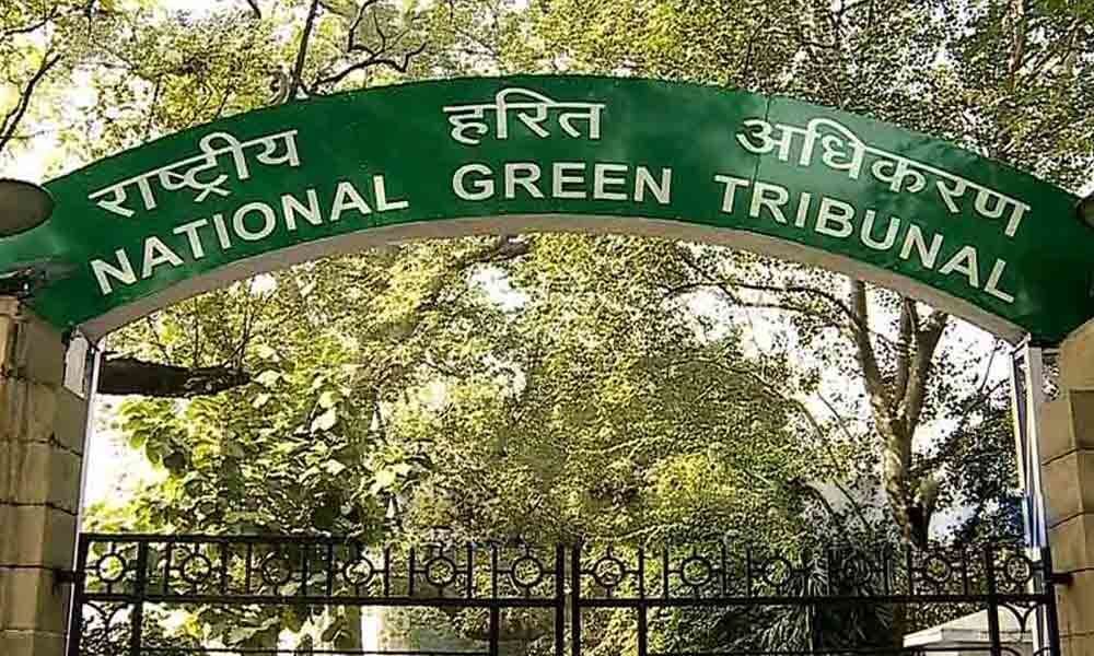 NGT shocked over government agency burning stubble, orders explanation immediately