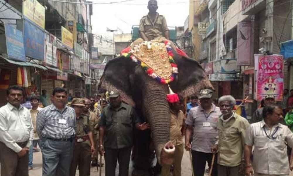 Telangana Govt intervention urged for jumbo procession