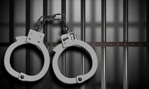 Over 500 men try to force women dancers to strip at cultural event in Assam, 2 held