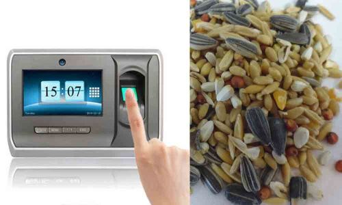 Srikakulam: Seeds to be supplied through biometric system