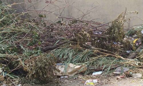 Heaps of garbage lie at GHMC Park