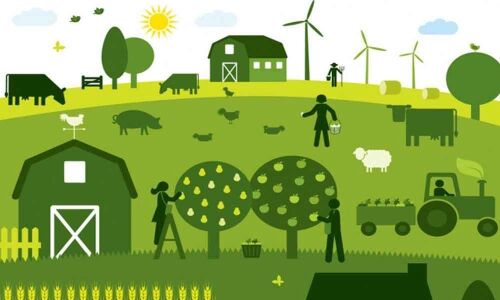 Icrisat to conduct agribiz start-up training