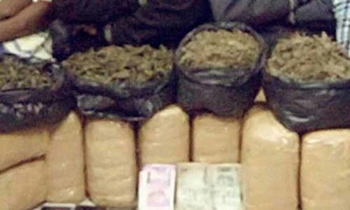 21 Kg ganja seized in Mangalhat PS limits