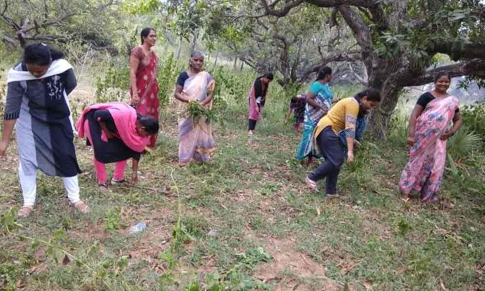 Clean and Green programme held at AKNU