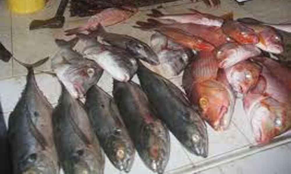 Two held for transporting banned fish variety