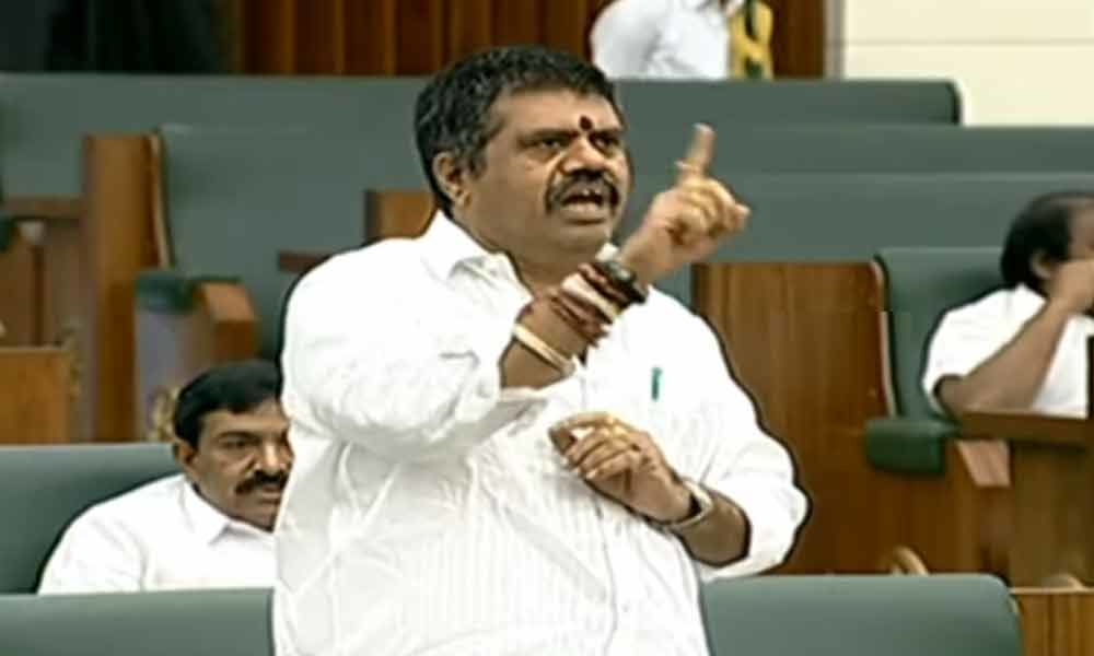 Minister Avanthi Srinivas comments on TDP chief  in AP Assembly