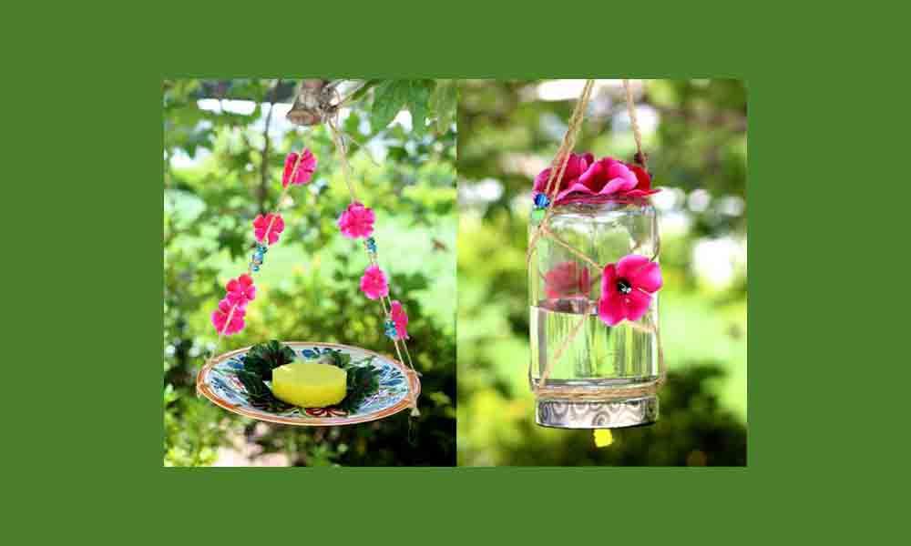 How to make a butterfly feeder