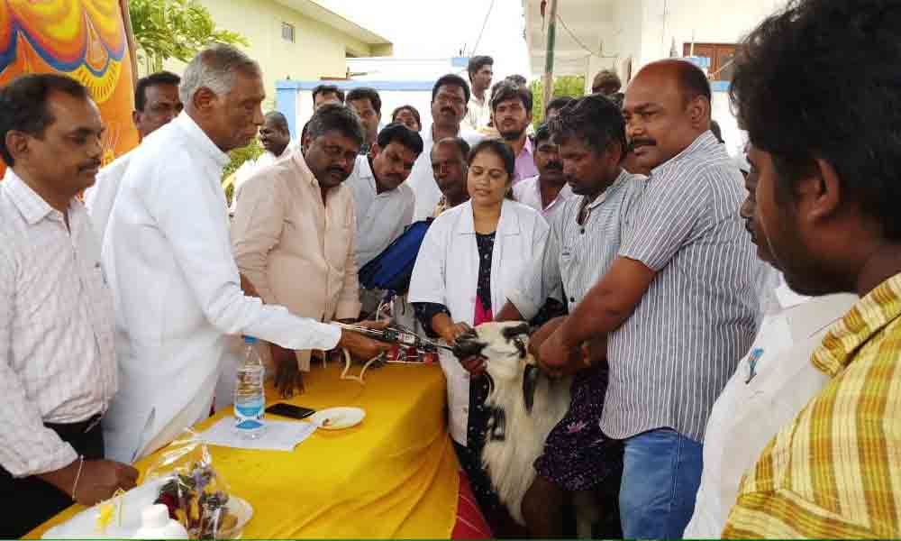 Animal health camp inaugurated in Mancherial