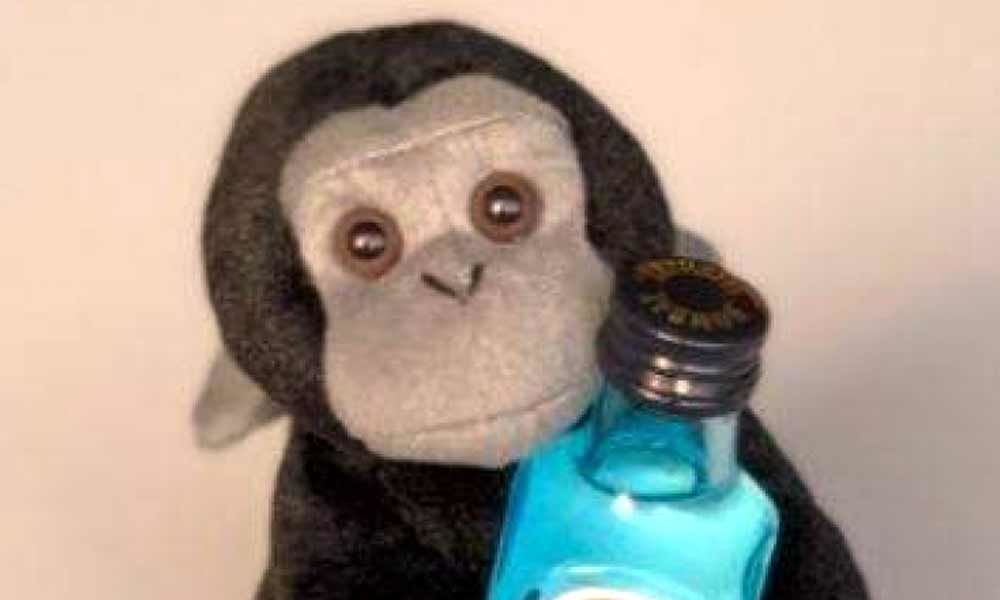 Alcoholic monkey becomes Elon Musks Twitter picture