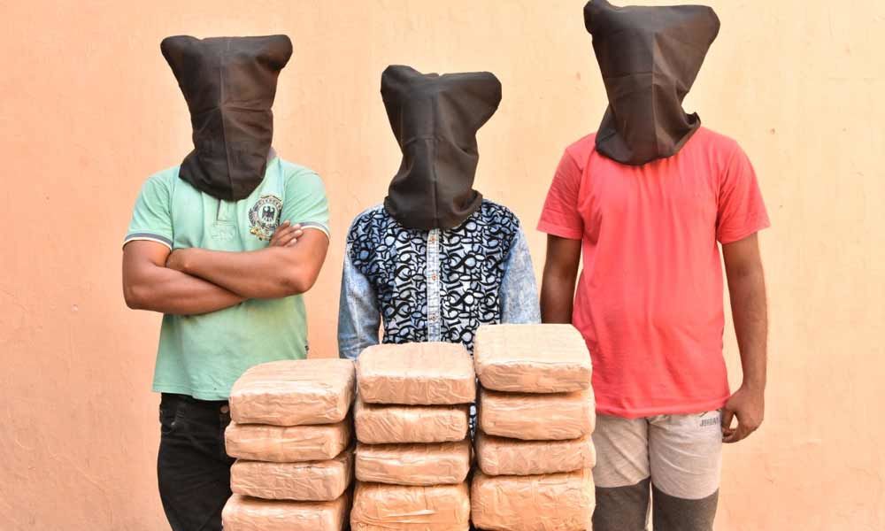 Police nabbed 3 persons, seized Ganja worth Rs2.50Lakhs