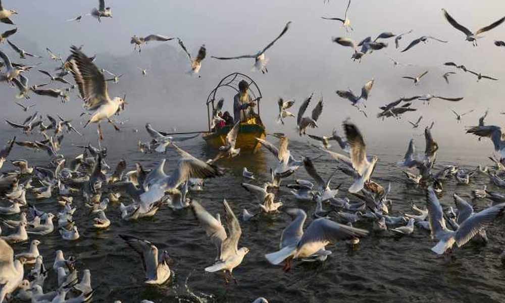 Five missing after boat capsizes in Narmada river