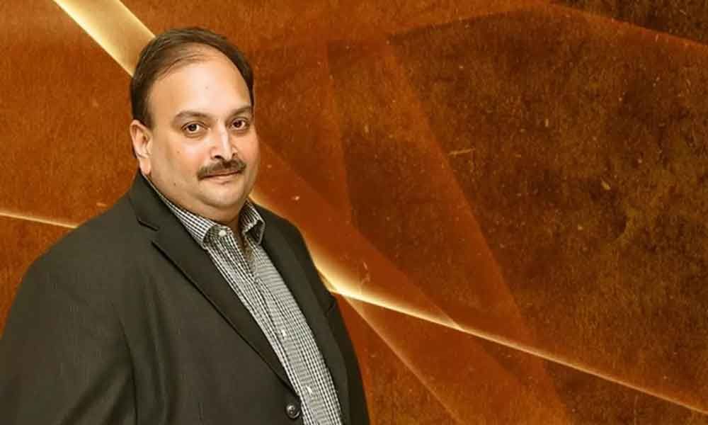 Enforcement Directorate offers to provide air ambulance with experts to bring Mehul Choksi from Antigua