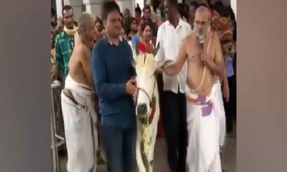 Special puja to curb child rape cases held in Hyderabad