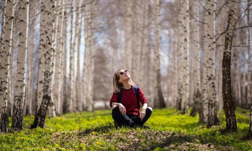 A New Trend that will boost your Mental Health - Forest Bathing