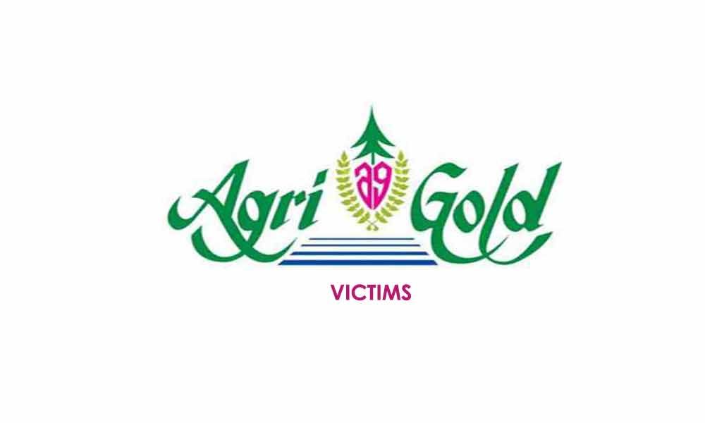 AgriGold victims urge government to seize companys assets