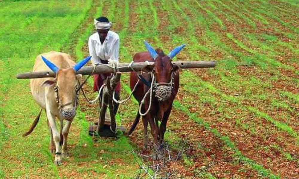 Loan schemes dont reach 59 % of rural India