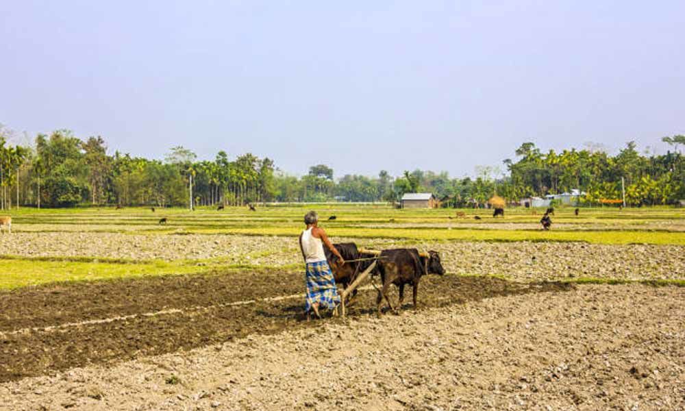 Providing crop loans to tenant farmers seems to be difficult task