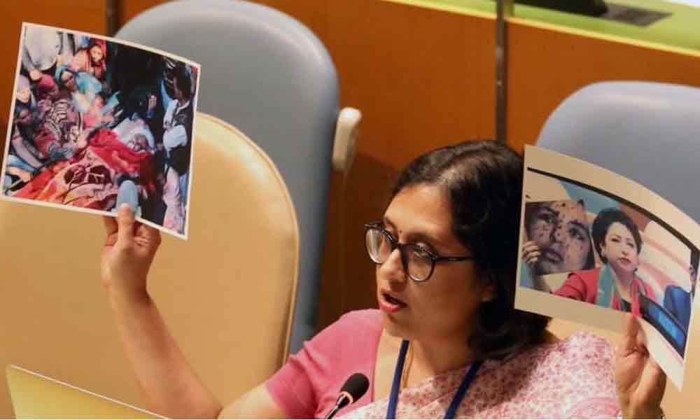 India abstains from voting on UNGA resolution on goods used for capital punishment, torture