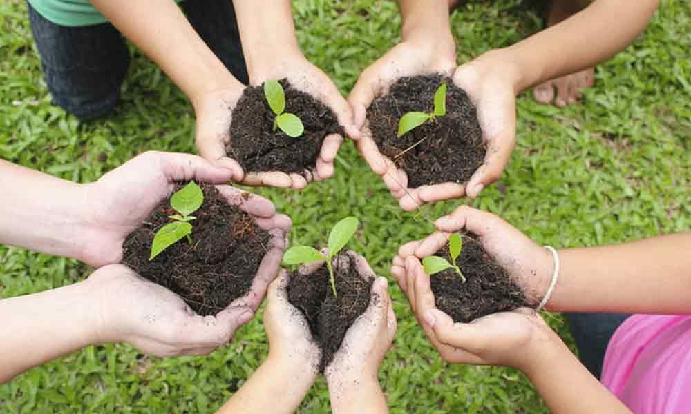 Gram Panchayats heads given the task of nurturing saplings