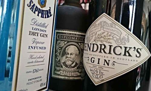Ginologists in South Africa giving gin a local flavour