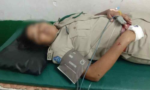 Tension mounts at Adilabad after MLAs brother attack forest official