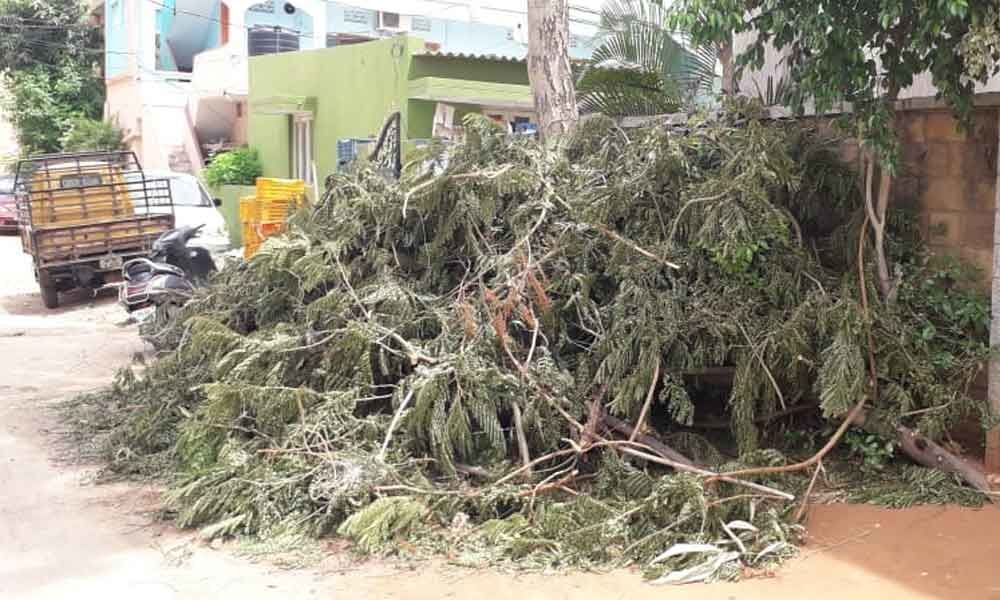 Slow removal of tree debris angers locals