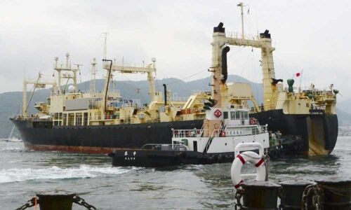 Japan resumes commercial whaling amid global backlash
