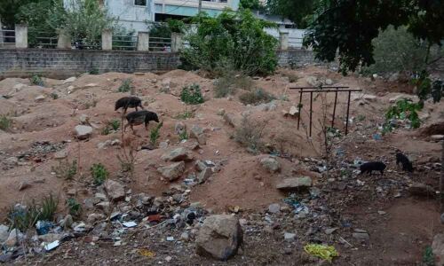 GHMC park turns dumping yard