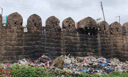 Sickening stench welcomes visitors to park