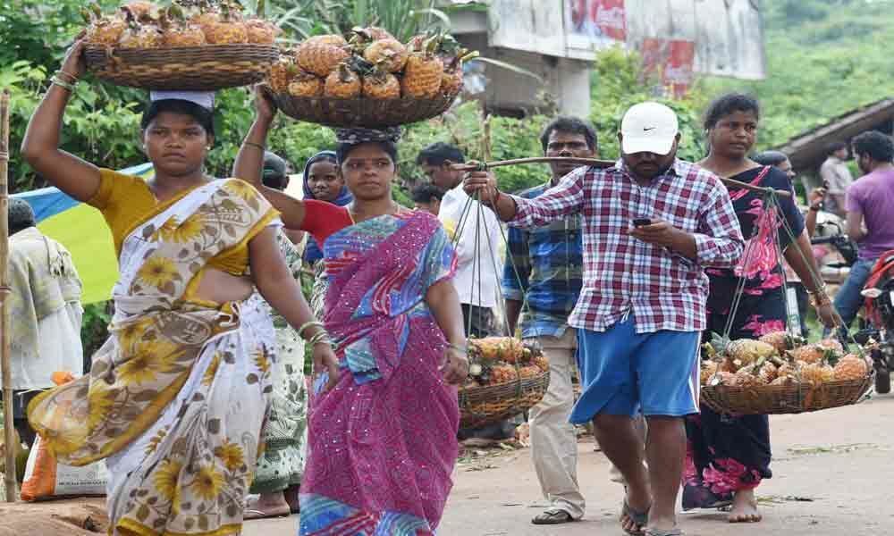 Vizag Pineapple growers prosper with the rise in sales in urban areas