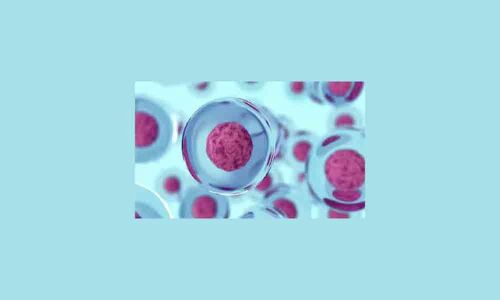 Researchers find way to make cancer cells self-destruct