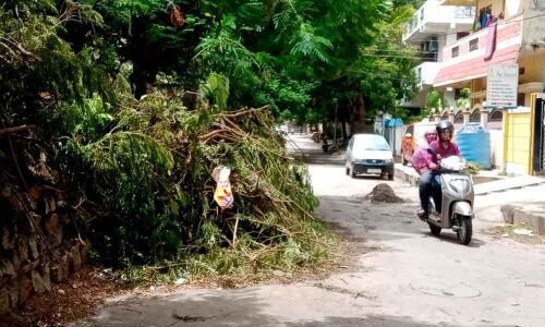 Citizens in quandary as departments pass the buck to each other