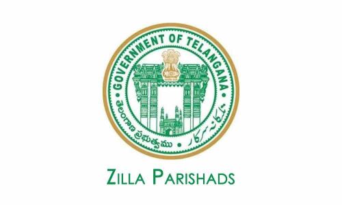 New Zilla Parishads get manpower,set to get cracking soon