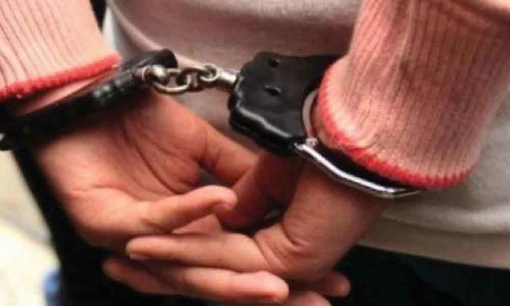 4 Indian-Americans arrested in US for H-1B visa fraud