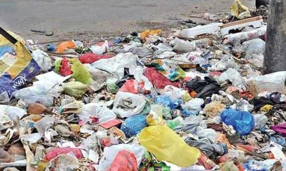 Goa civic body to pay Rs 1,000 to citizens who report illegal dumping of garbage