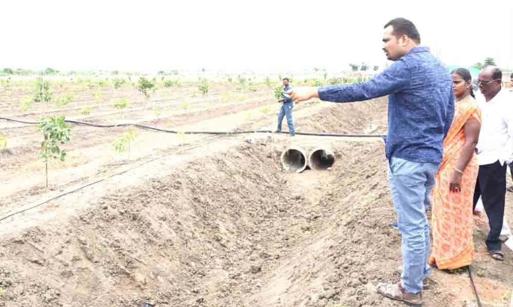 Collector inspects irrigation works in Tirumalayapalem