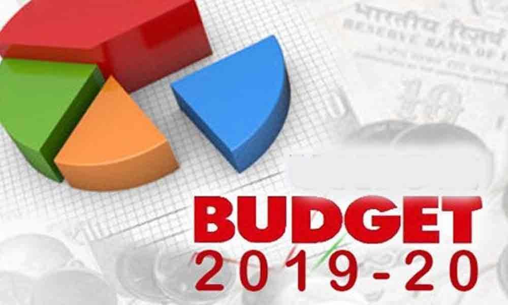 Budget 2019-20: Waiting for directions