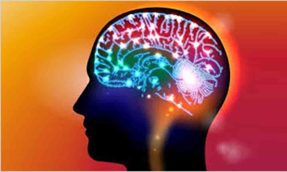 Short bouts of exercise enhance brain function