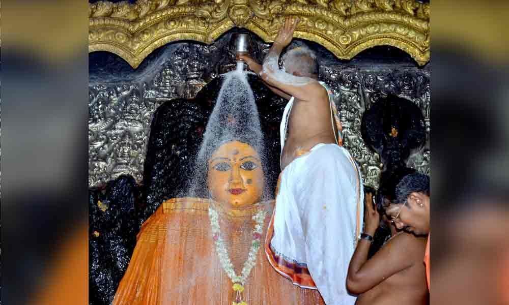Shakambari Devi fete begins on a grand note