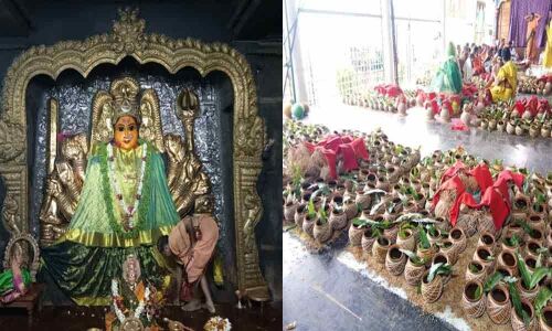 Shakambari festival gets underway