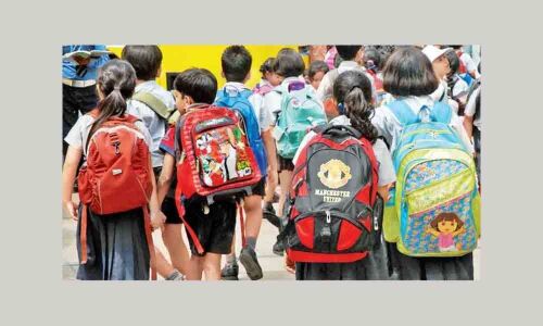 Trolley bags better than backpacks for schoolkids
