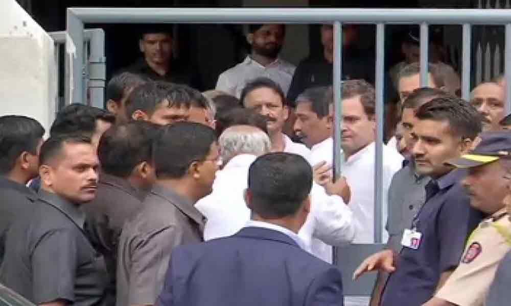 Rahul gets bail on surety