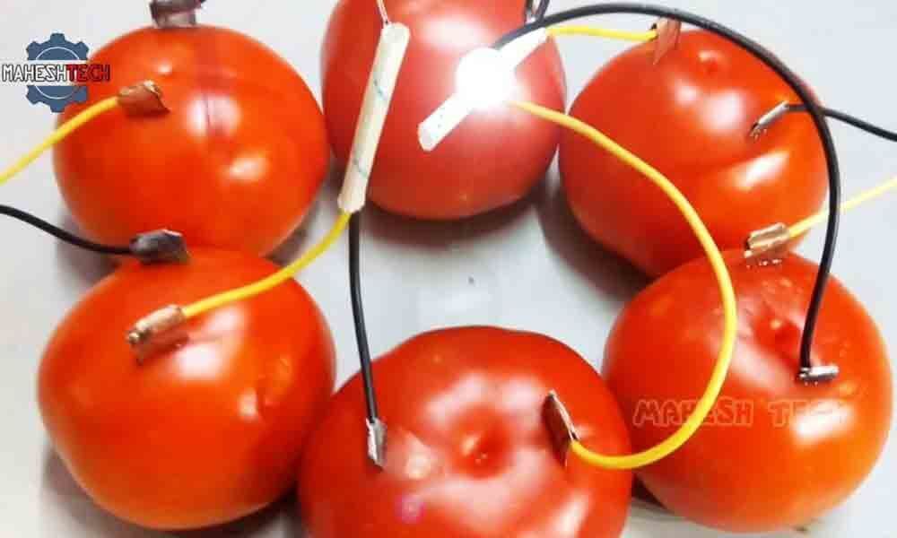 About tomato battery